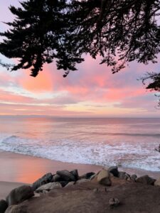 OASV Retreat is held in Santa Cruz every April
